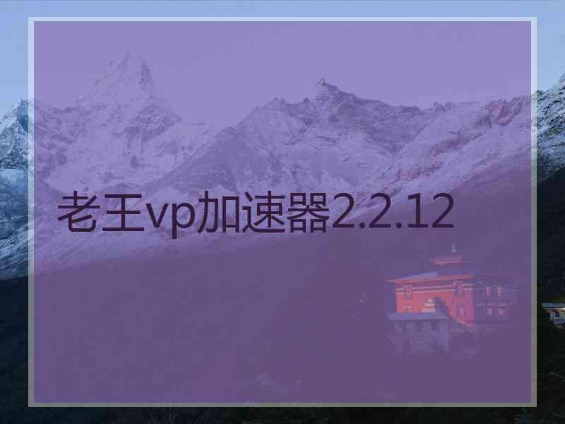 老王vp加速器2.2.12