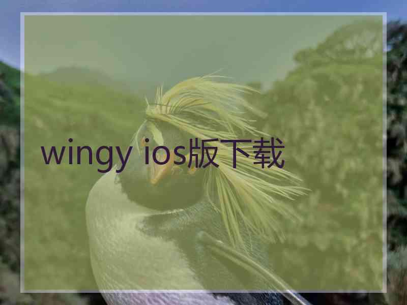 wingy ios版下载