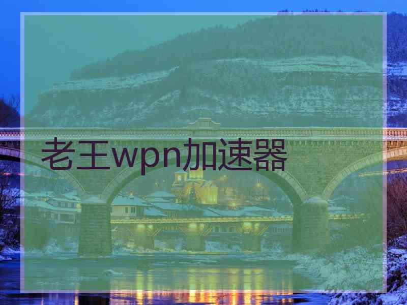 老王wpn加速器