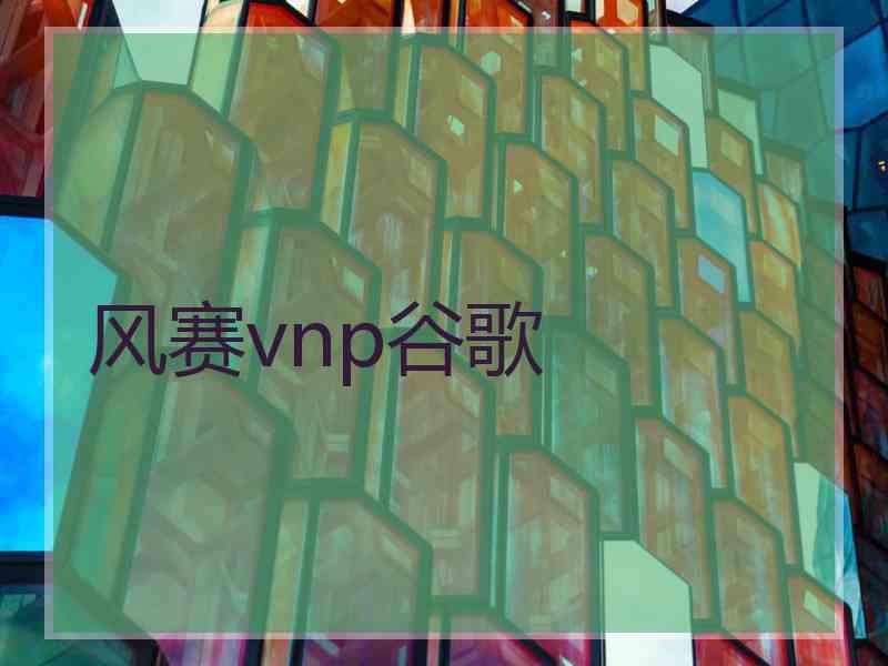 风赛vnp谷歌