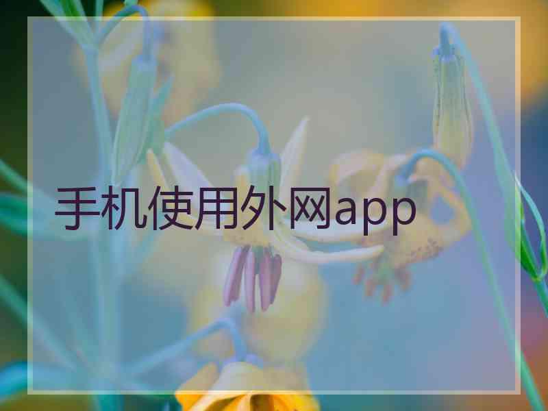 手机使用外网app