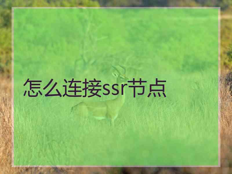 怎么连接ssr节点