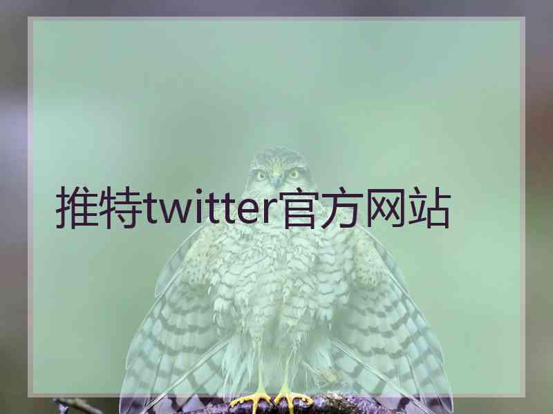 推特twitter官方网站