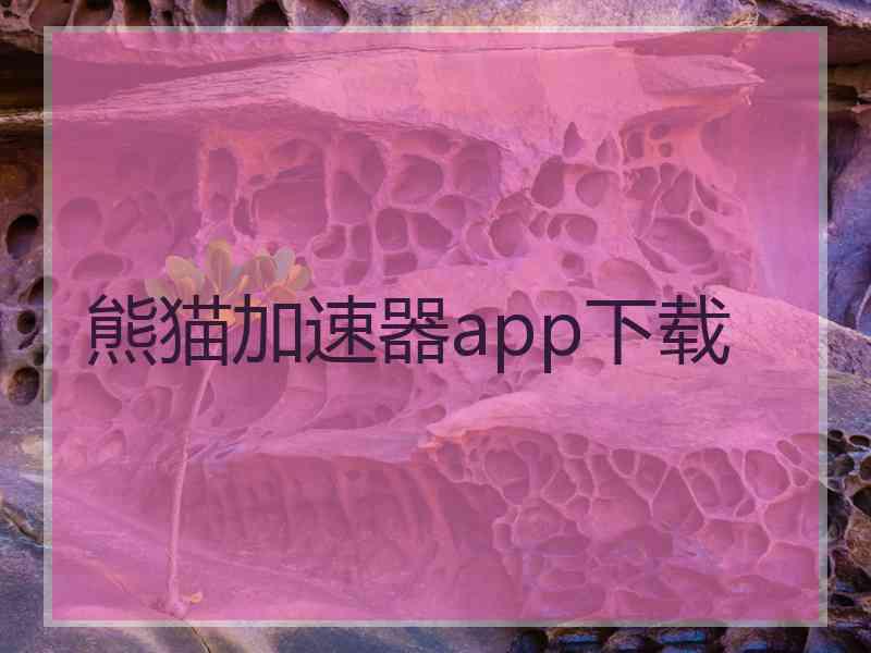 熊猫加速器app下载