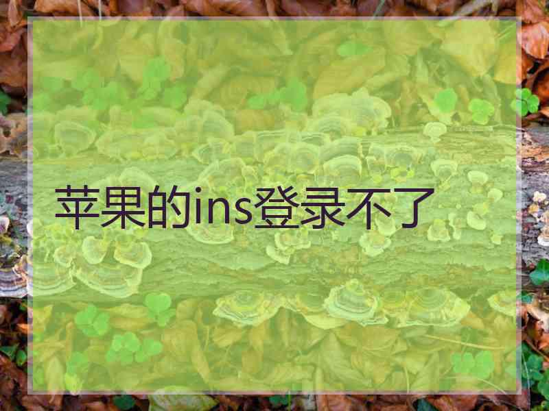 苹果的ins登录不了