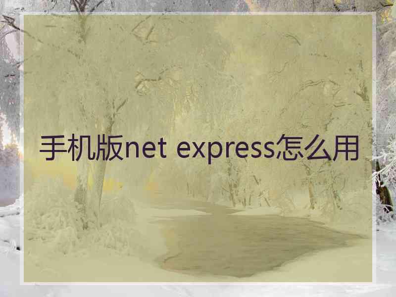 手机版net express怎么用