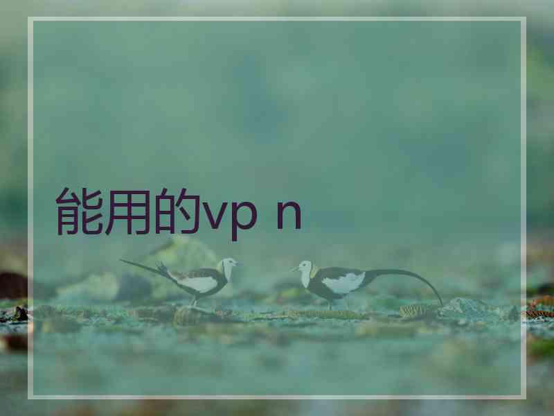 能用的vp n