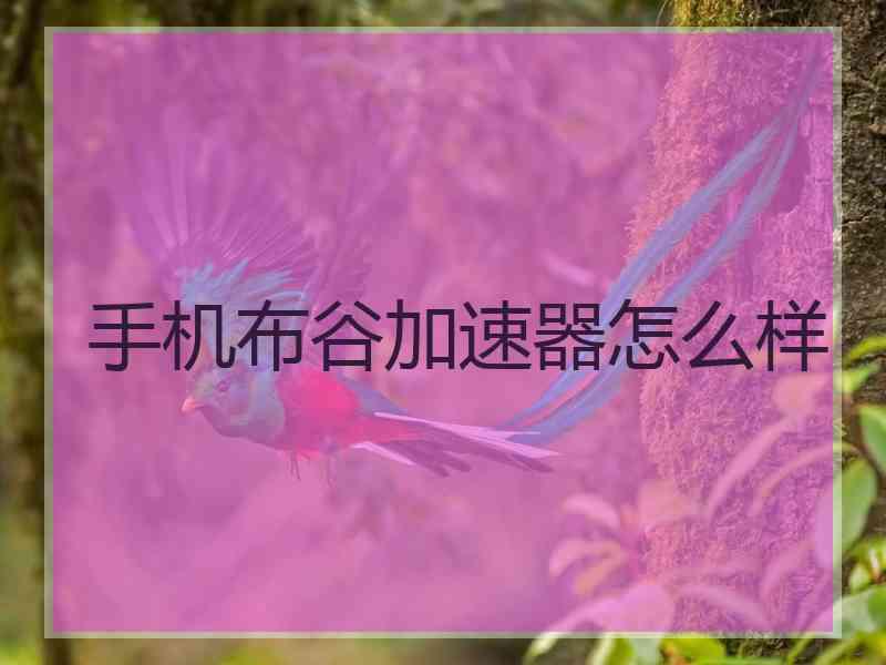 手机布谷加速器怎么样