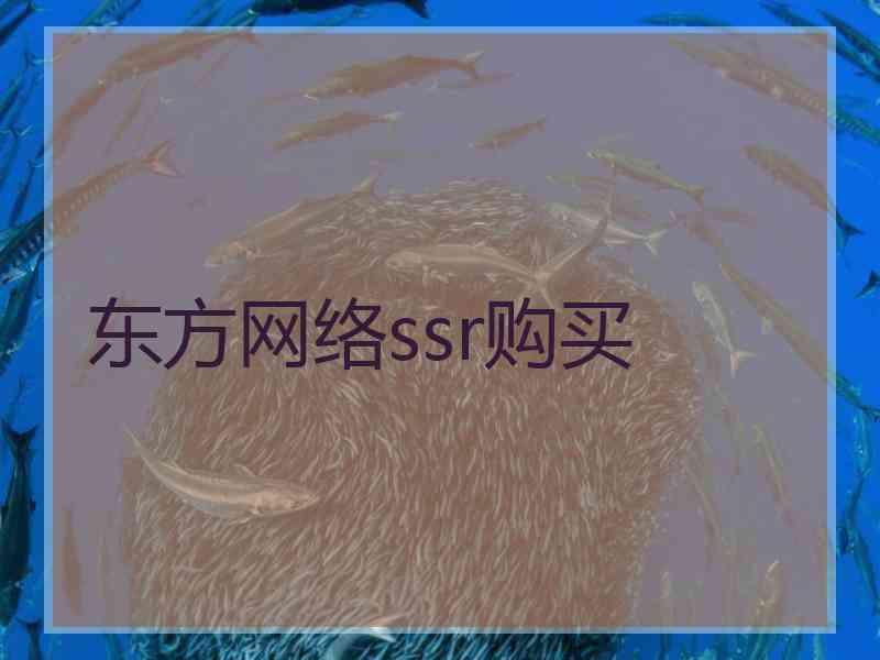 东方网络ssr购买