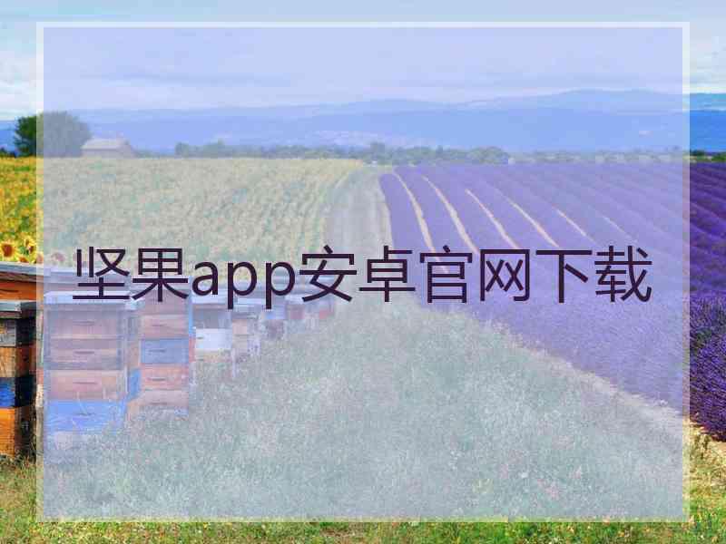 坚果app安卓官网下载