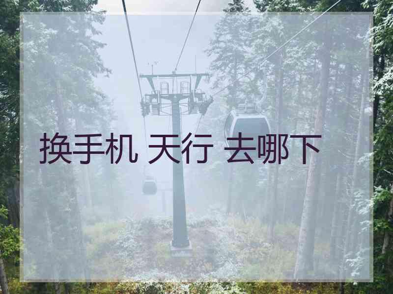 换手机 天行 去哪下