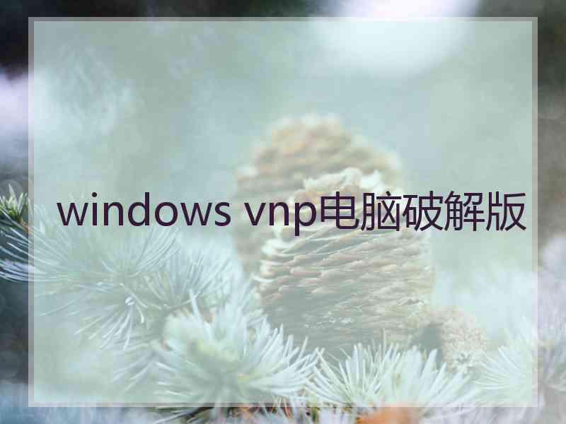 windows vnp电脑破解版