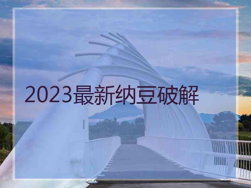 2023最新纳豆破解